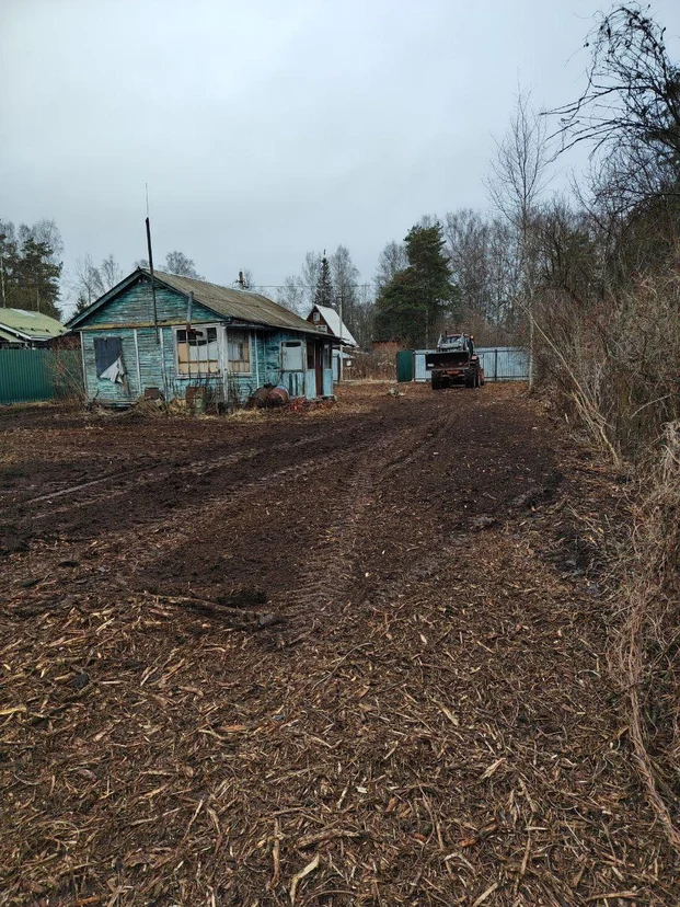 image-4